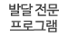 발달 전문 프로그램